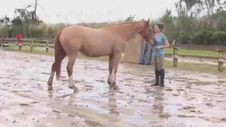 7:00pm-8:00pm (NZDT)