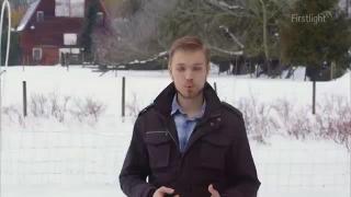 10:00pm-11:00pm (NZDT)