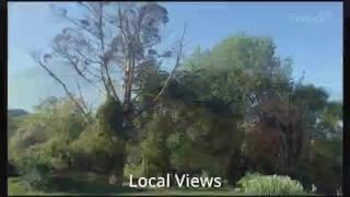 12:00am-1:00am (NZDT)