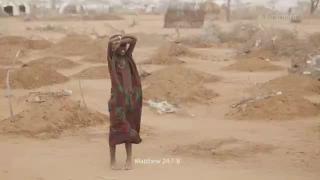 5:00am-6:00am (NZDT)