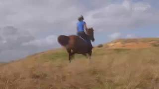 7:00am-8:00am (NZDT)