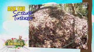 8:00am-9:00am (NZDT)