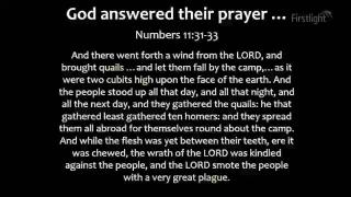 4:00pm-5:00pm (NZDT)