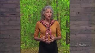 11:00pm-11:30pm (PST)