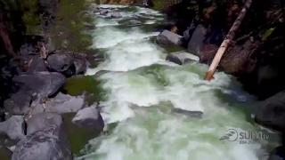 10:00am-11:00am (PDT)